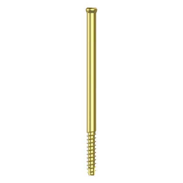 MR Femoral Nail