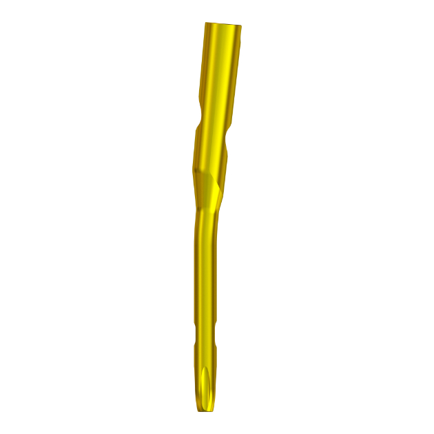 MR-IM Femoral Nail