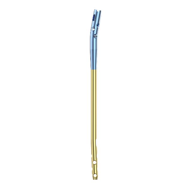 MR-IM Tibial Nail