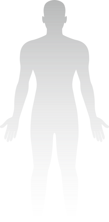 human body