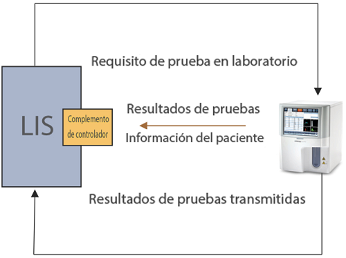 glp13-s4-6