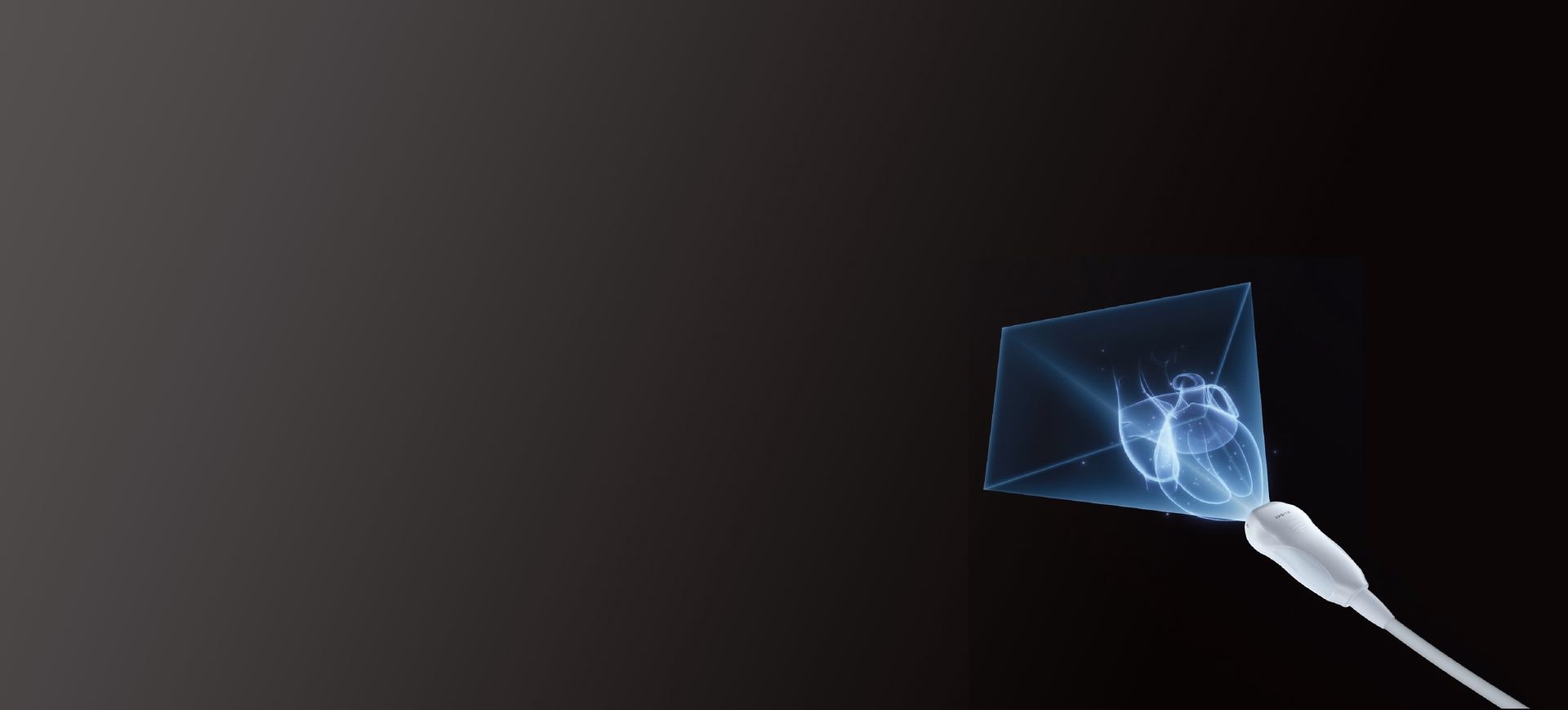 transducer displaying detailed 3D heart images with eZST+ technology