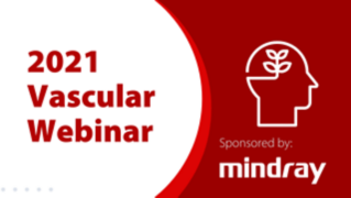 2021 Vascular Webinar